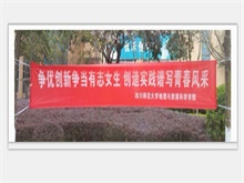 案例展示